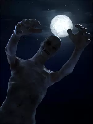 破碎阳光